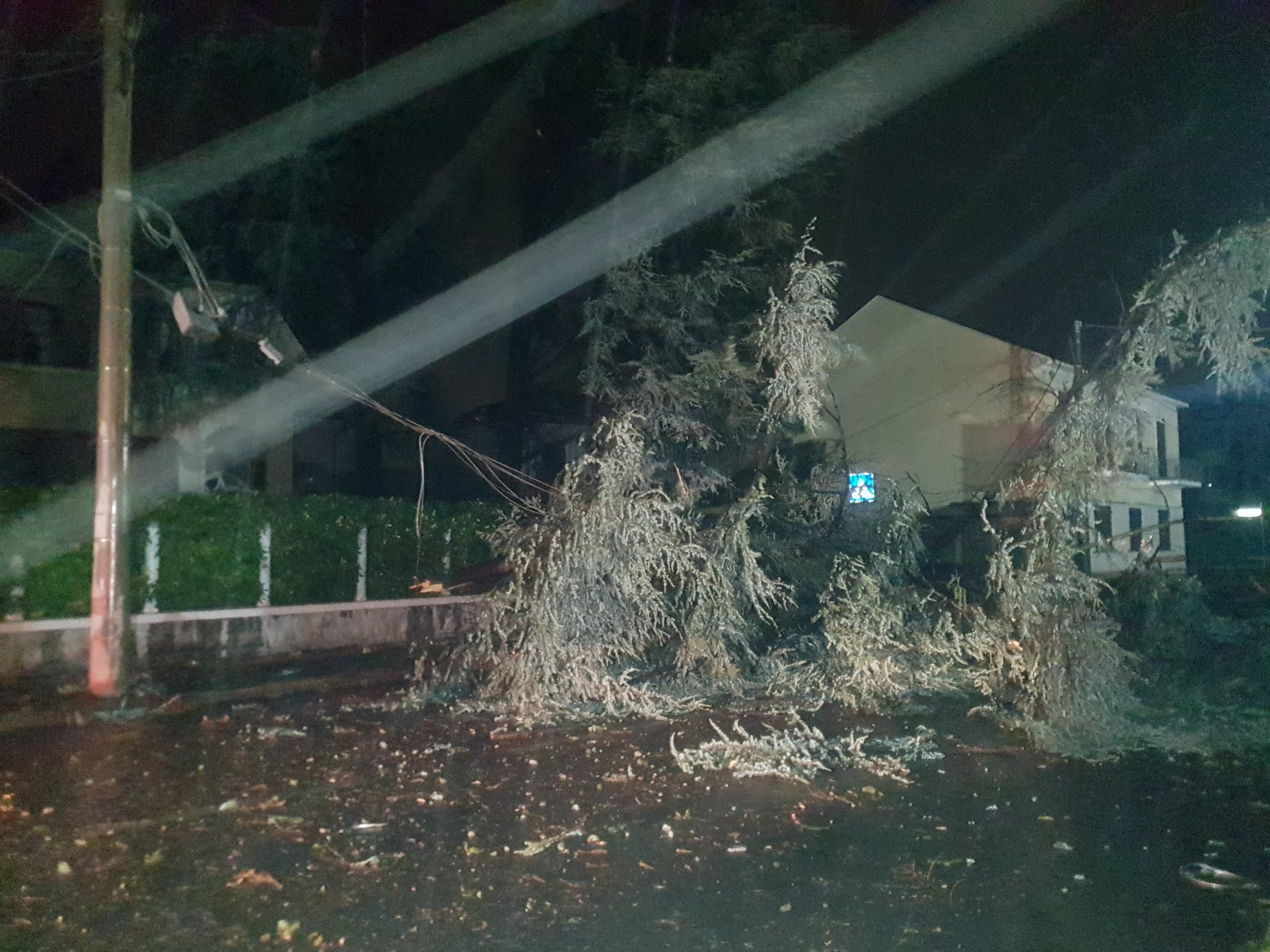 A Spinetta Marengo cade un albero in via Tortona e trancia filo della luce