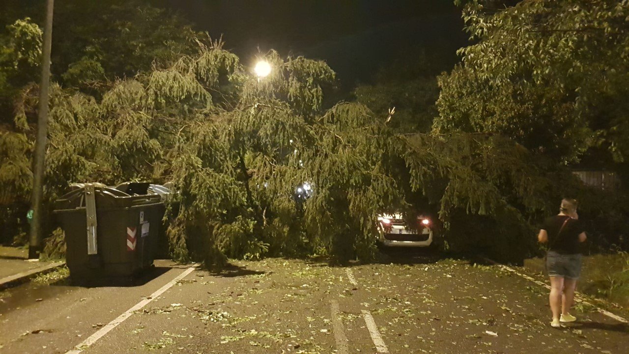 Tempesta ad Alessandria: oltre 200 le chiamate ai Vigili del Fuoco