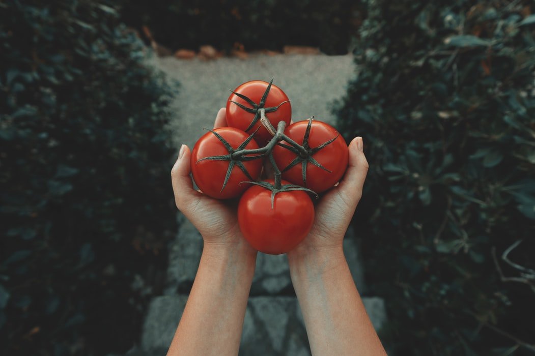 Come fare la conserva di pomodori fatta in casa