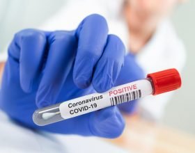 Bollettino coronavirus: 1417 nuovi positivi e 29 decessi in Piemonte