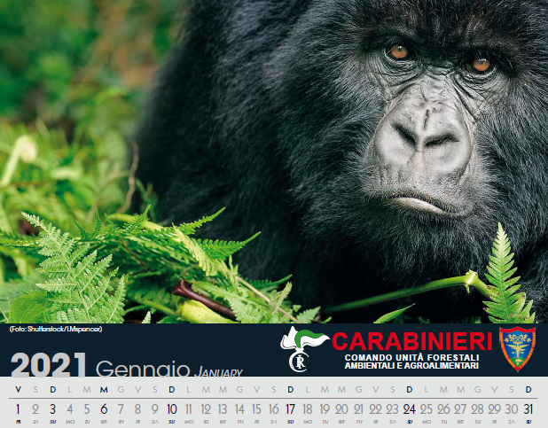 I Carabinieri in soccorso anche della Natura: ecco il calendario Cites 2021