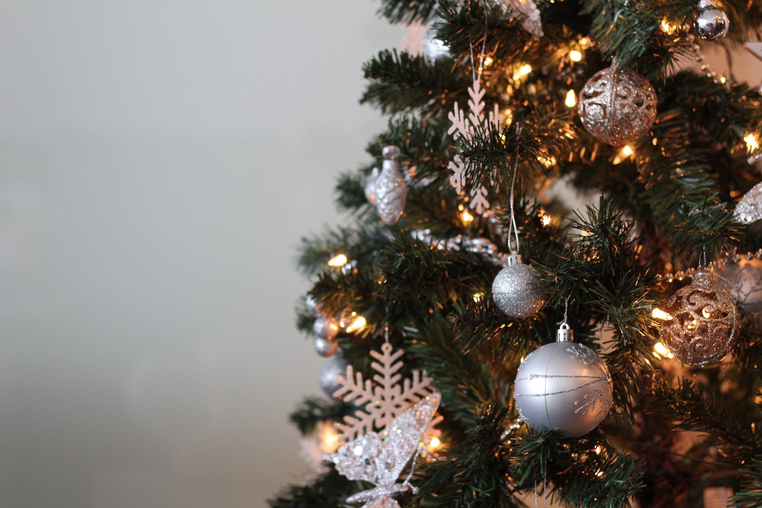 Non è Natale senza l’albero: ecco quelli fatti e inviati dai nostri lettori