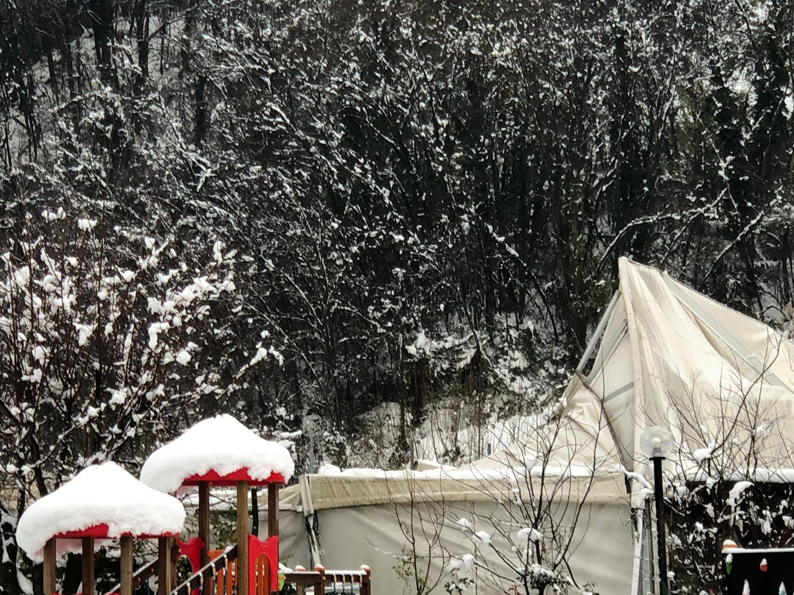 Palazzetto di Monleale distrutto dalla neve: lo Sportleale avvia una raccolta fondi