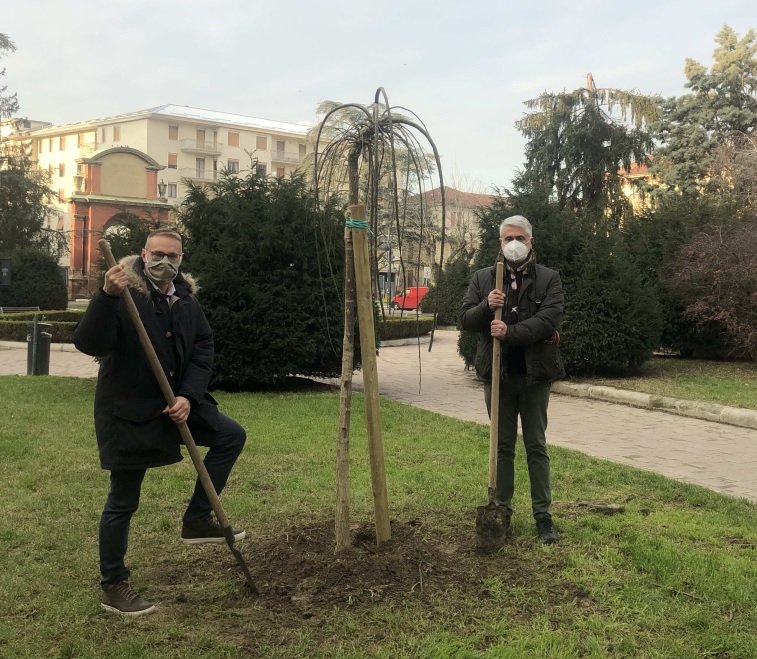 Ad Alessandria il progetto “Pianta un albero”: i cittadini potranno segnalare dove farlo