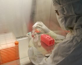 Bollettino coronavirus: 807 nuovi contagi e 31 decessi in Piemonte