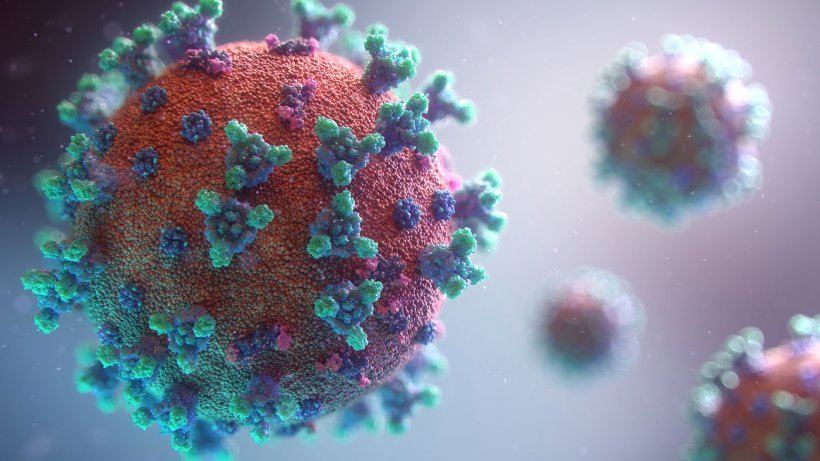 Coronavirus: uno studio di Arpa Piemonte è in grado di rilevare il Covid nell’aria