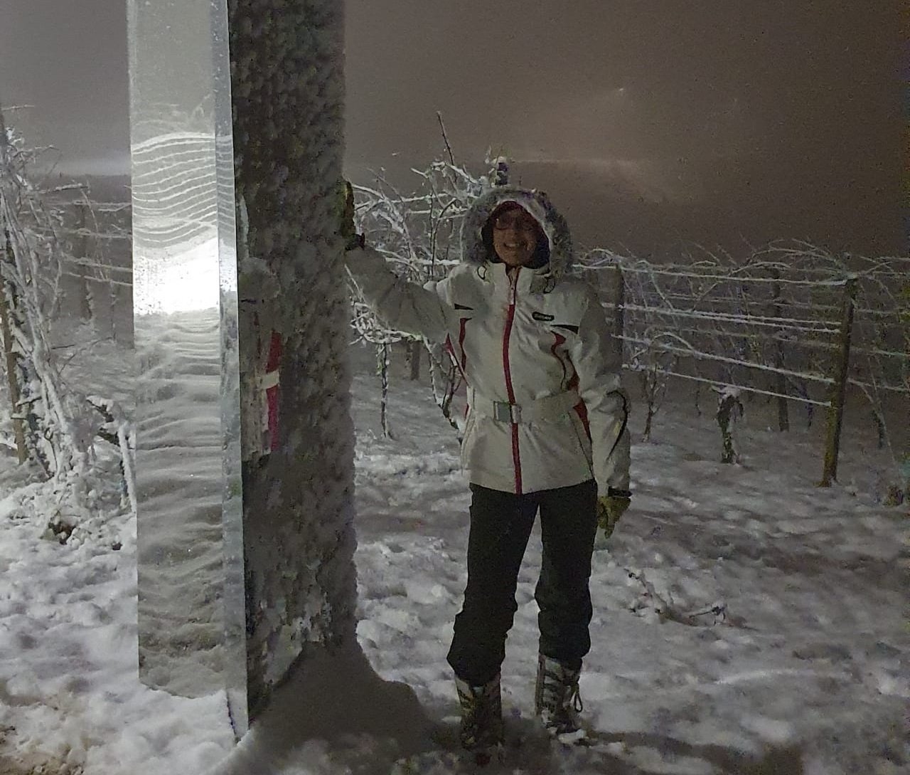 Un monolite misterioso nelle vigne di Sala Monferrato: “Non sappiamo chi l’abbia installato”