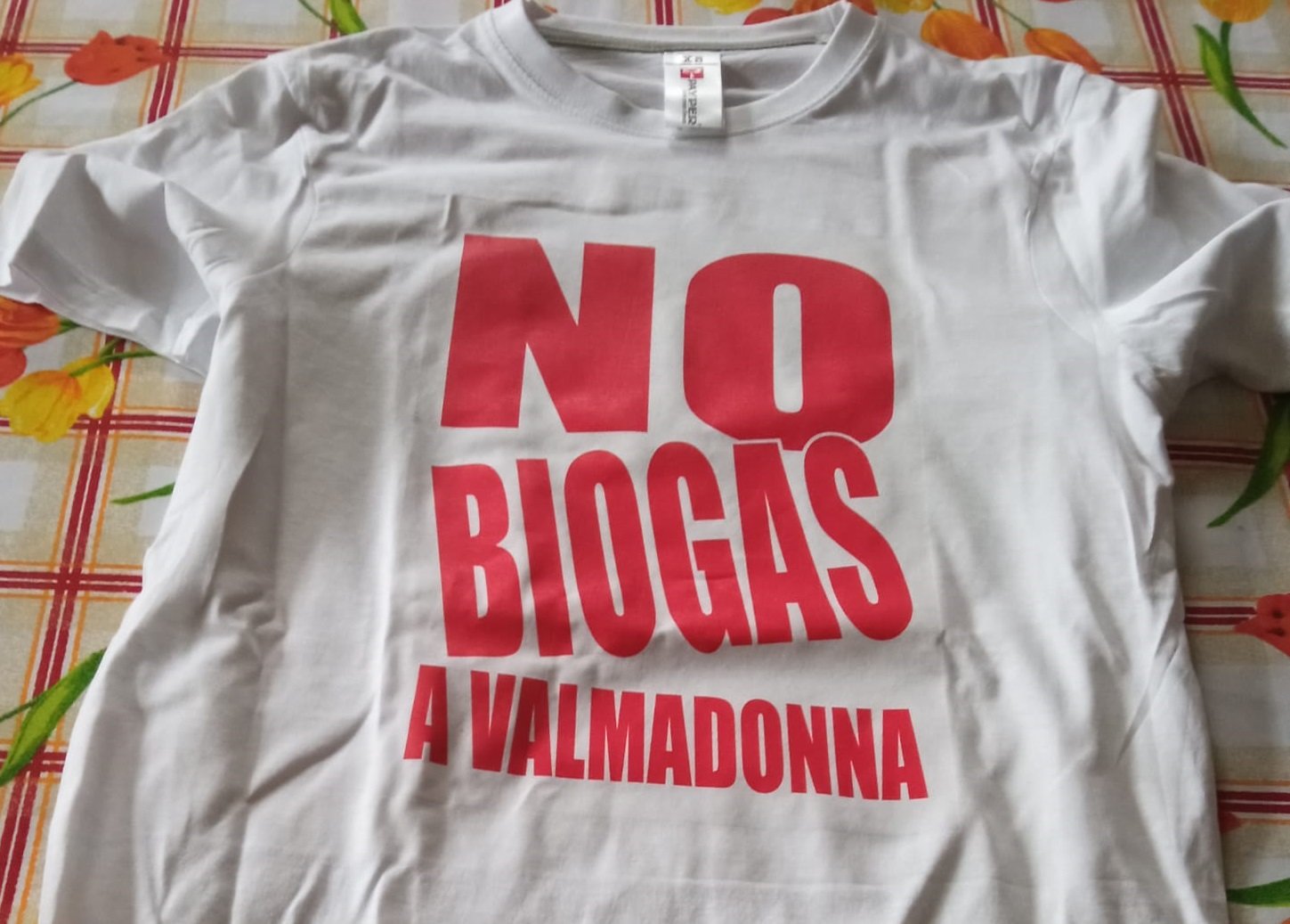 “No biogas a Valmadonna”: lunedì il presidio sotto il Comune di Alessandria