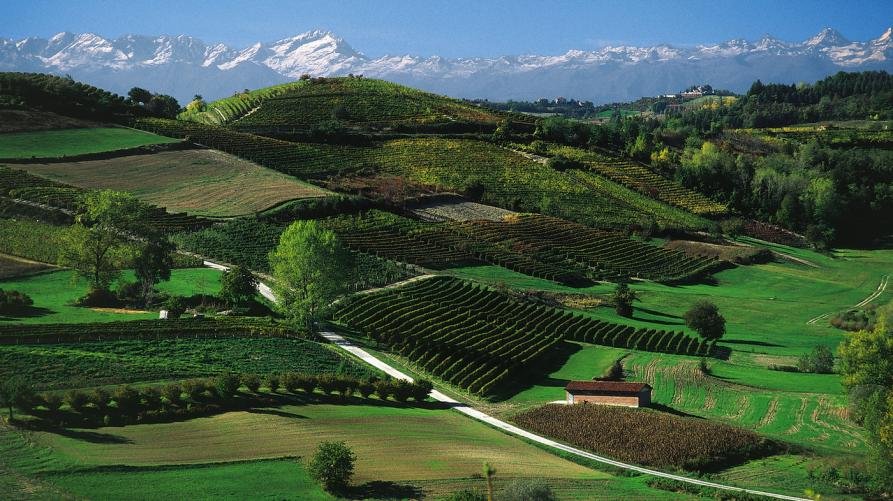 Rapporto Svimez: il Piemonte in difficoltà per crescita demografica e reddito