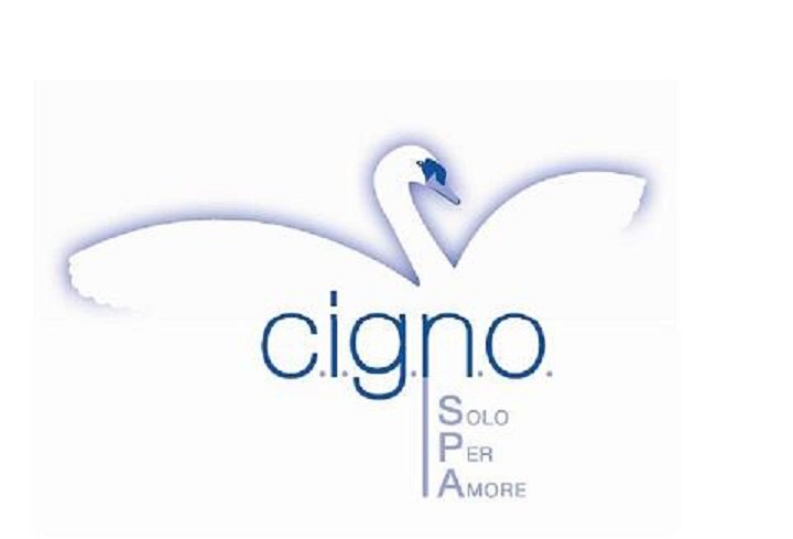 Fondazione Cigno cerca partner per una rete di imprese ‘cancer friendly’