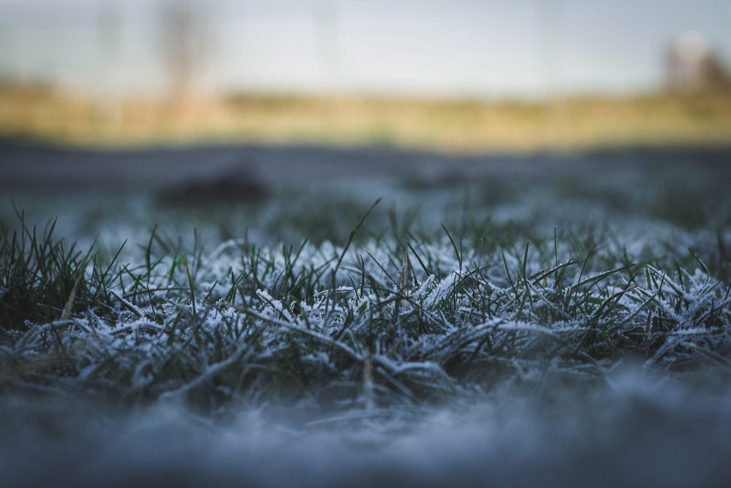 Gelo all’alba in provincia: temperature anche a -3 gradi