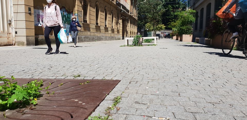 “Oltre a viale Michel rimettete le piante anche davanti l’Università”: la proposta di una cittadina