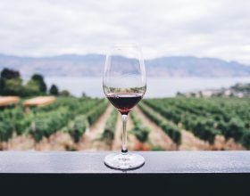 Un corso per diventare assaggiatori di vino: ecco la proposta dell’Onav