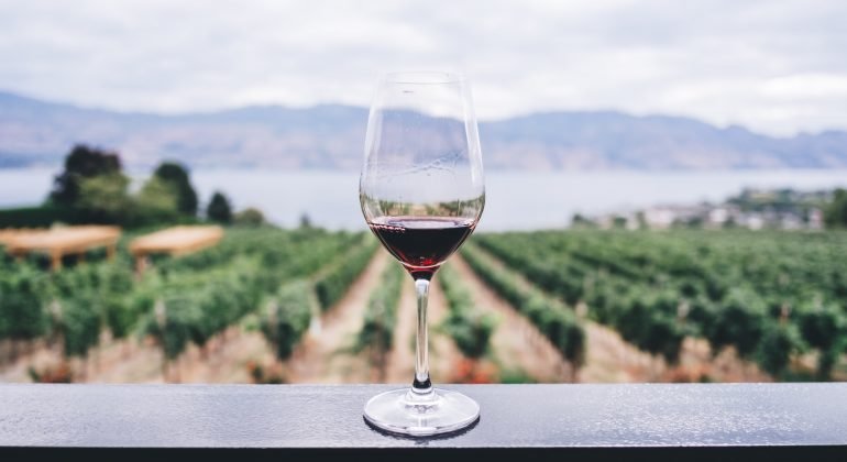 Un corso per diventare assaggiatori di vino: ecco la proposta dell’Onav
