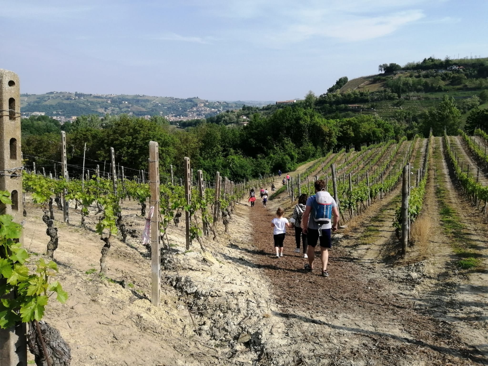 Tra vigne e dolci pendii una storia lunga 300 km quella raccontata dal Grande Cammino del Monferrato