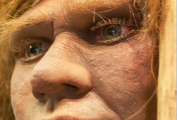 Storia: con Focus alla scoperta dei Neanderthal italiani