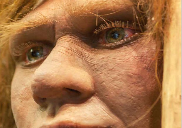 Storia: con Focus alla scoperta dei Neanderthal italiani