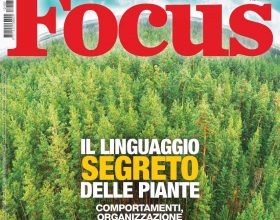 Il linguaggio segreto delle piante: Focus racconta un mondo tutto da scoprire