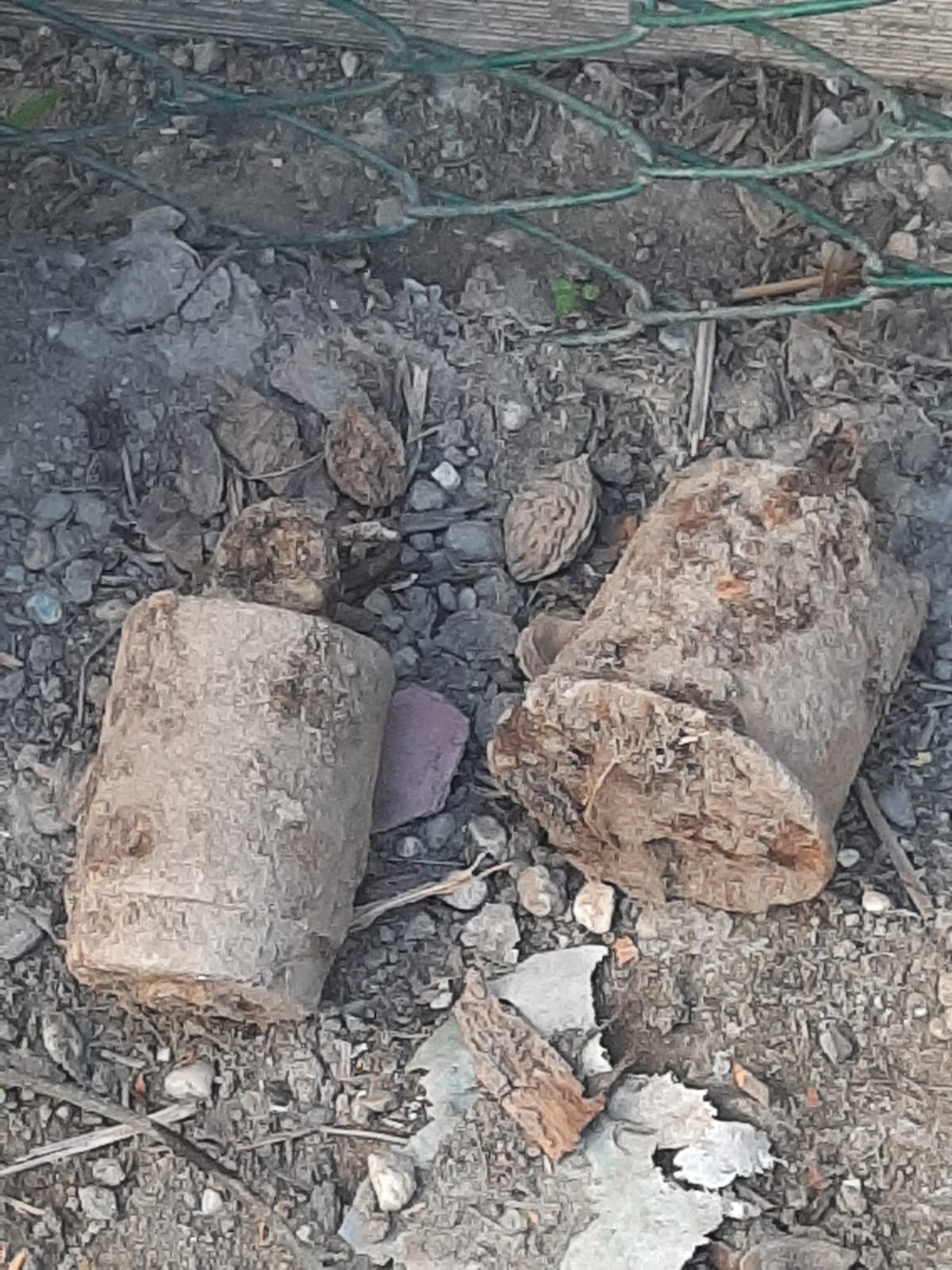 Tre granate scoperte in un pollaio a Casale: abitazione evacuata