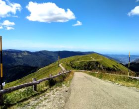 Una passeggiata al Monte Lesima, tra faggi e fiori