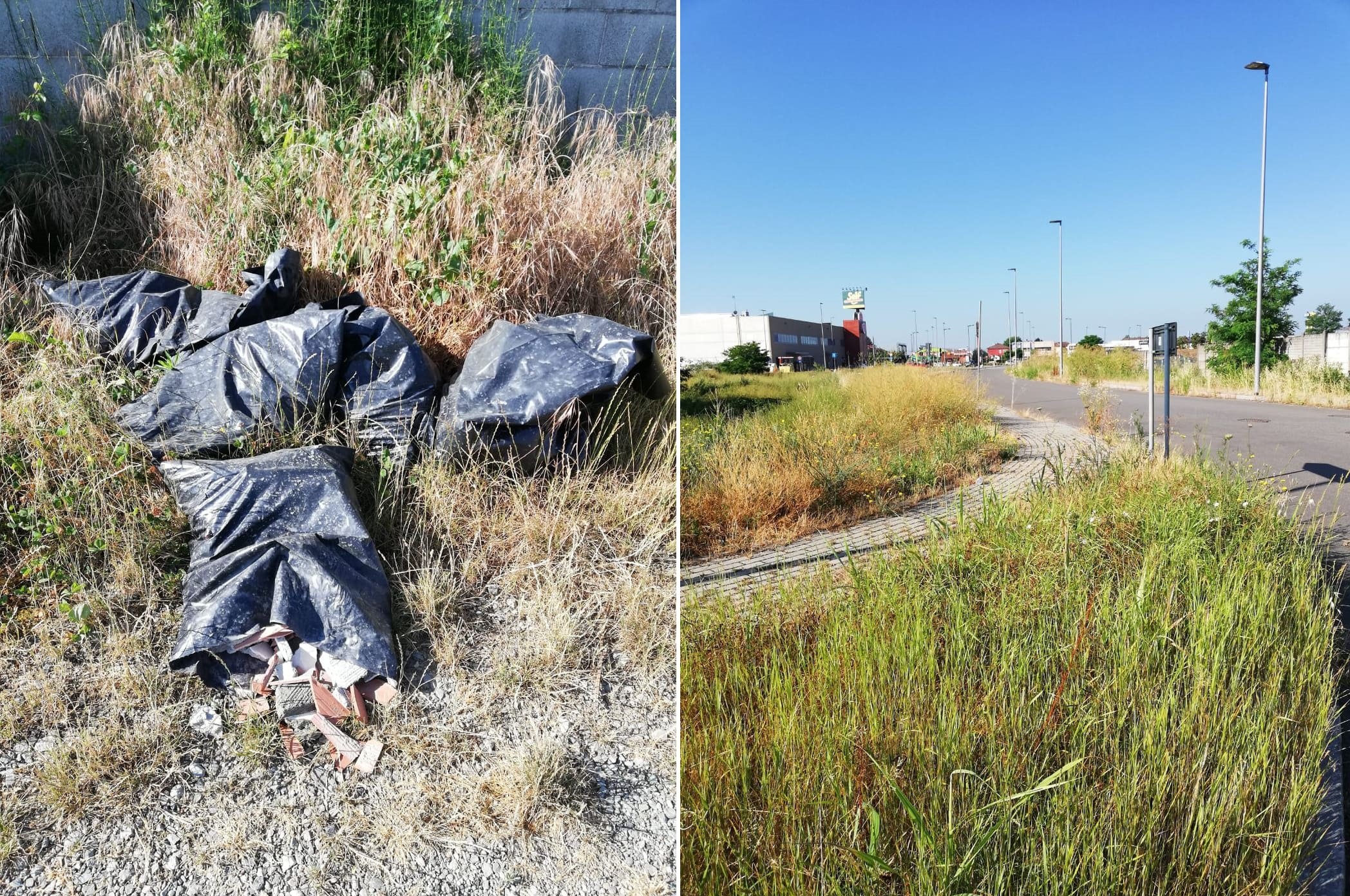 Dai marciapiedi invasi d’erba alla spazzatura nei fossi: storie di inciviltà in via Giordano Bruno