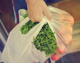 Giornata contro lo spreco alimentare: i consigli per non sciupare il cibo che comprate