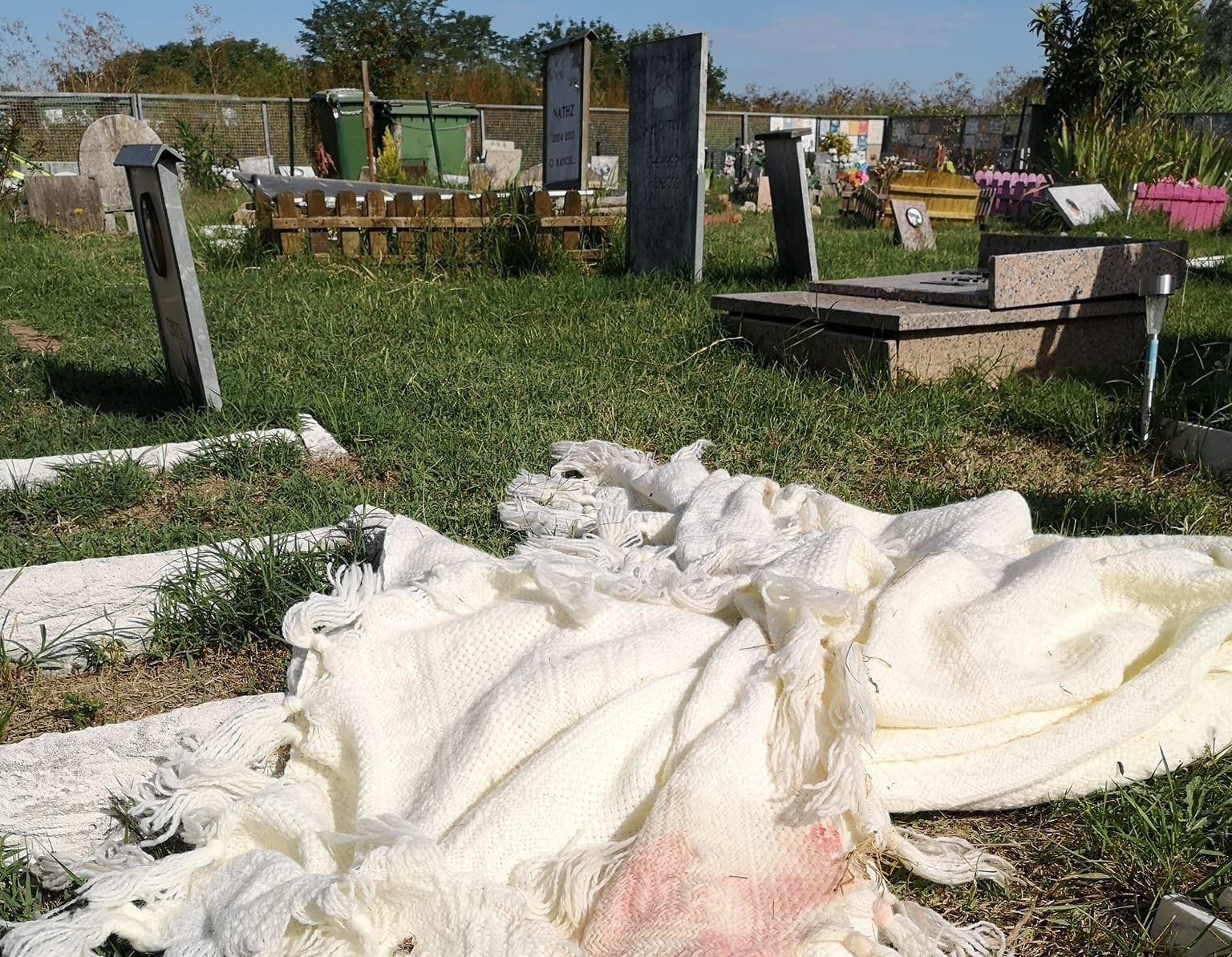 Cimiterino degli animali, lo sconforto dei volontari: “Siringhe e cocci ovunque, pensiamo di fermarci”