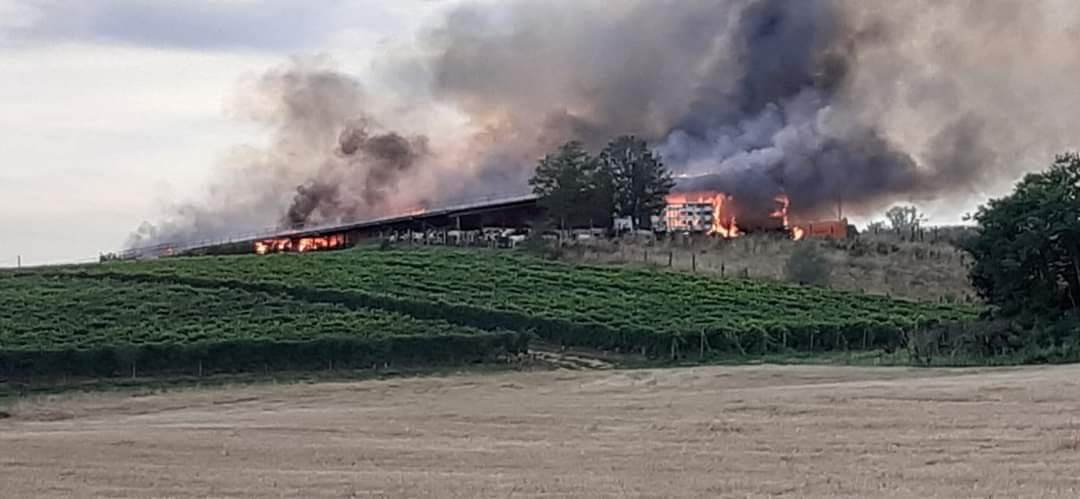 Grosso incendio in un’azienda agricola di Masio [VIDEO]