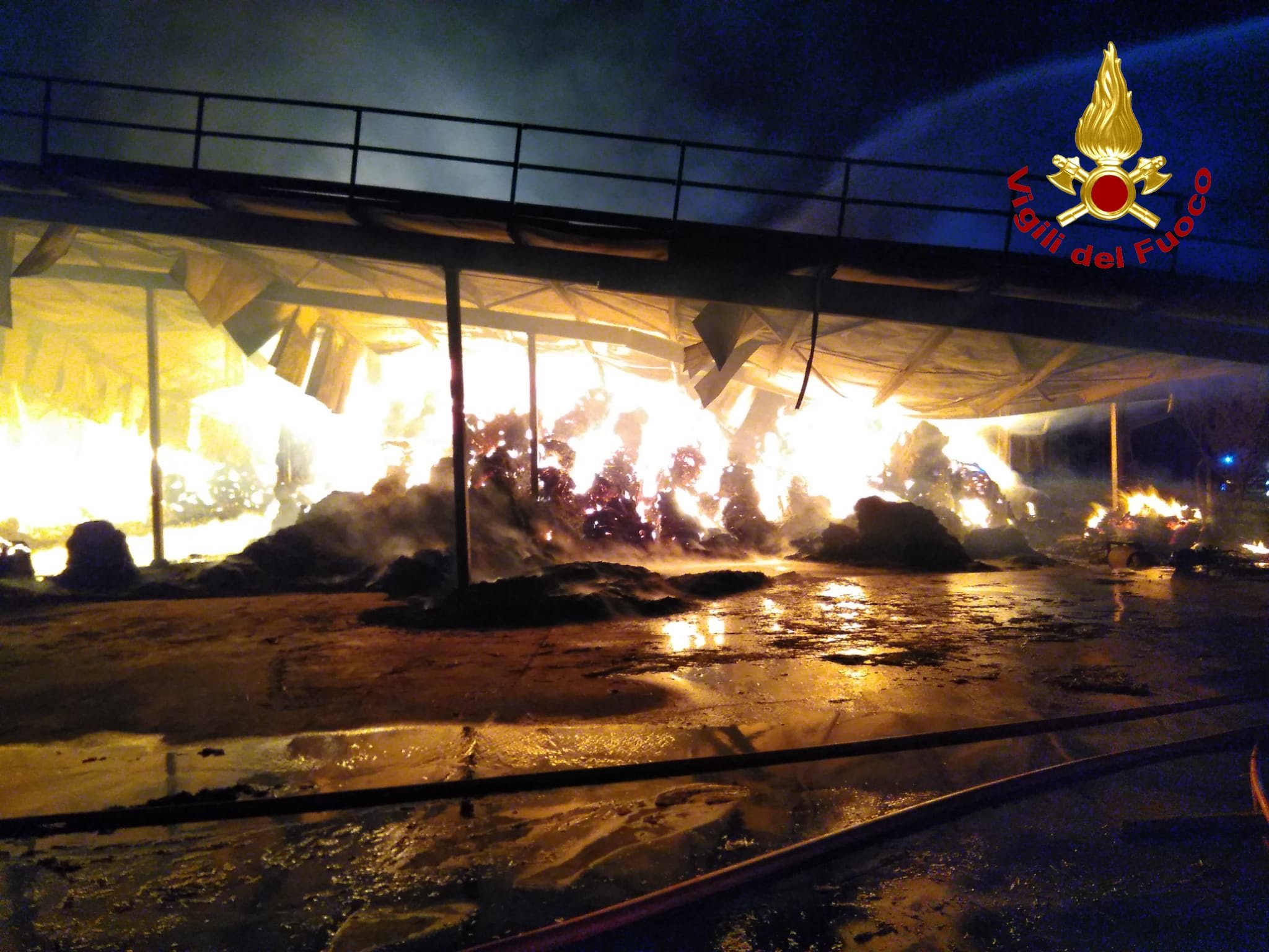 Incendio cascina di Masio: morti 30 bovini, ma sono 900 quelli messi in salvo