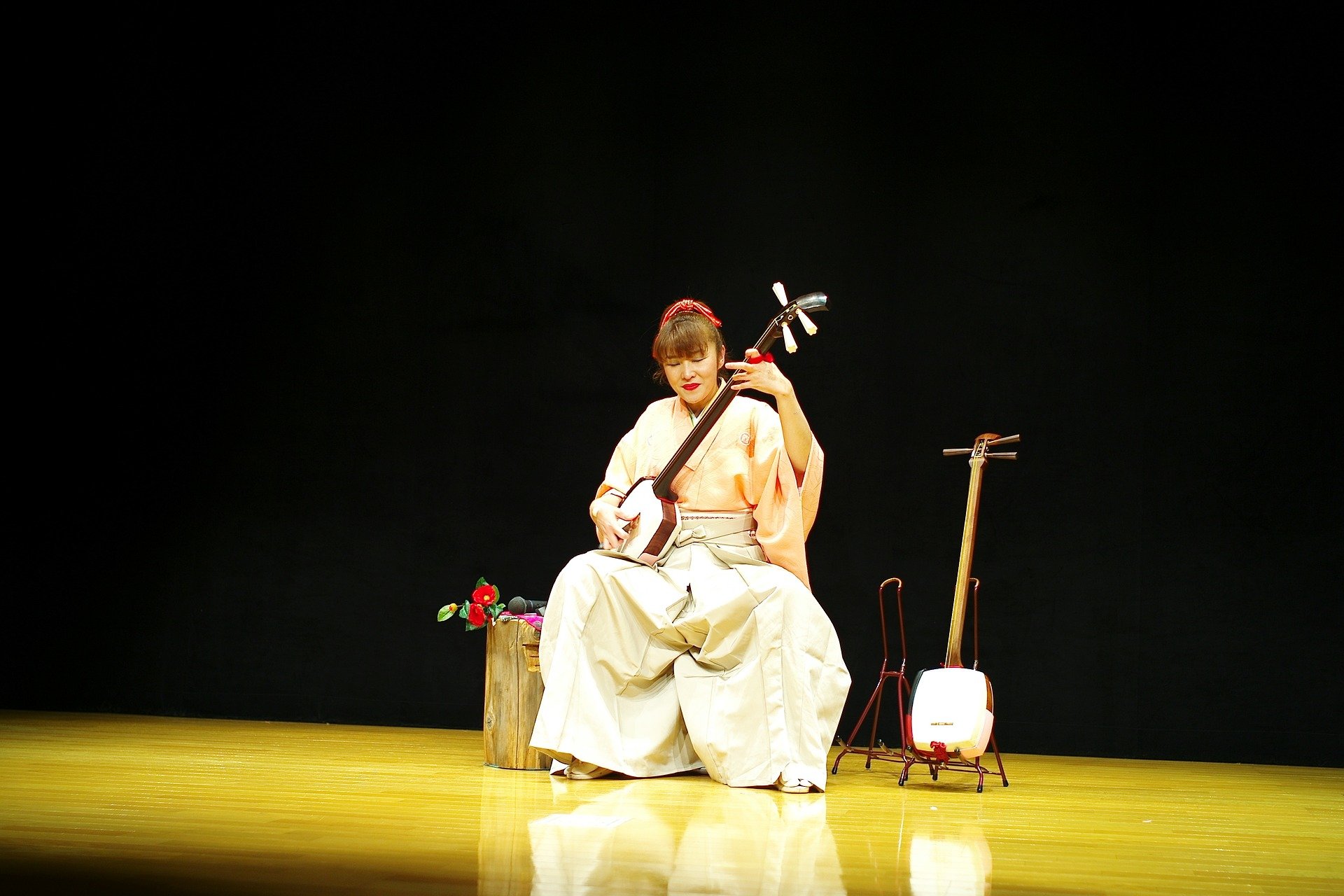 Giappone in musica, nella Notte Romantica al Castello di Zavattarello