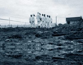 Ossi di seppia e il rumore della memoria che tutti noi dobbiamo ascoltare