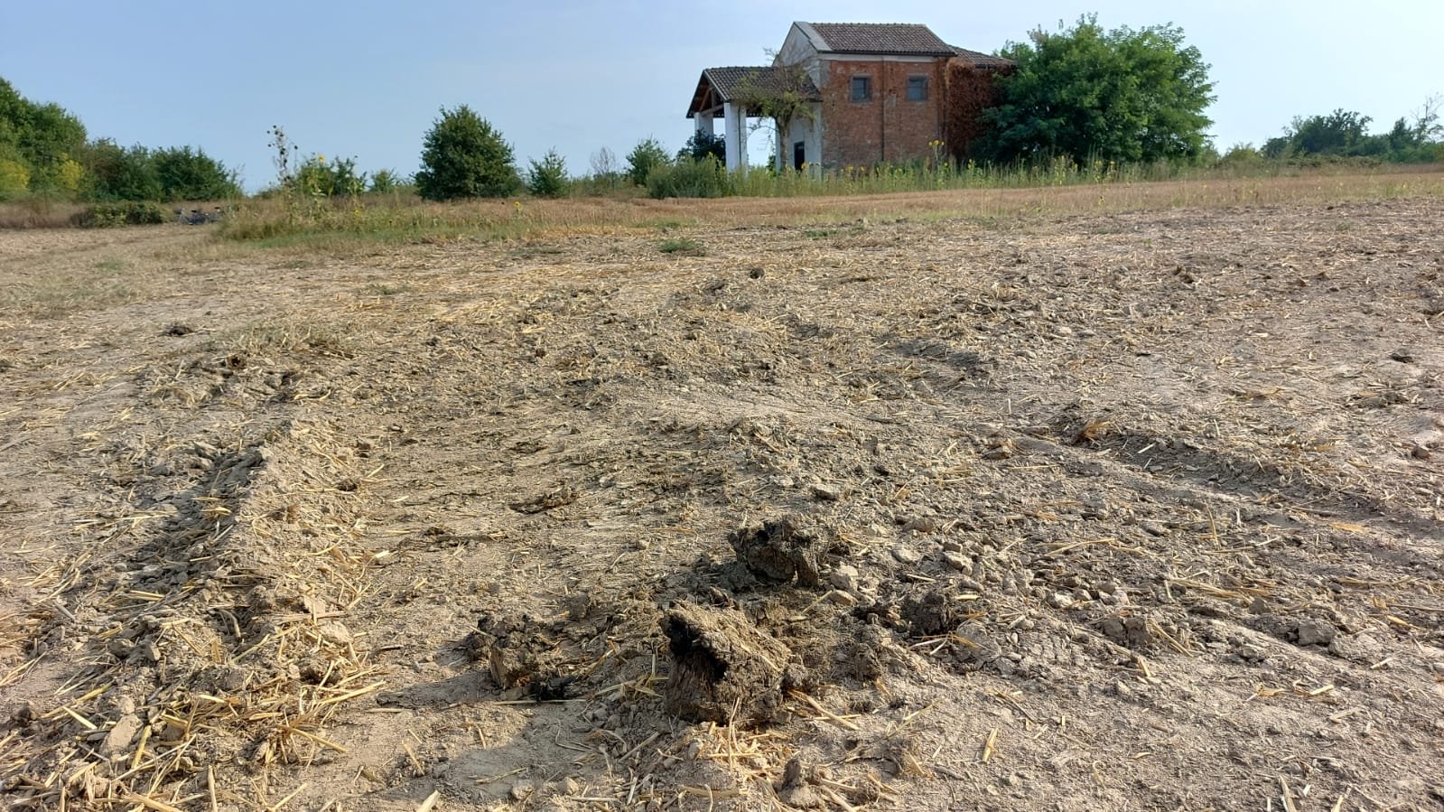 Miasmi a Lobbi e a Villa del Foro: il sindaco dispone limitazioni ai fertilizzanti