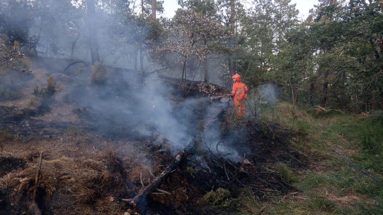 Vasto incendio nei boschi di Morbello: Vigili del Fuoco e Protezione Civile in azione