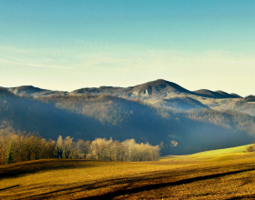 Il Monte Aldone: escursione naturalistica in Alta Val Tidone