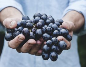 Autunno Pavese 2021: le prime attività di settembre