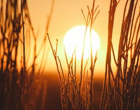 Weekend rovente in Piemonte: in pianura punte tra i 34 e i 36 gradi