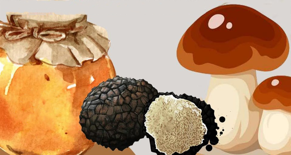 La Grande Sagra a Zavattarello: miele, tartufi e funghi
