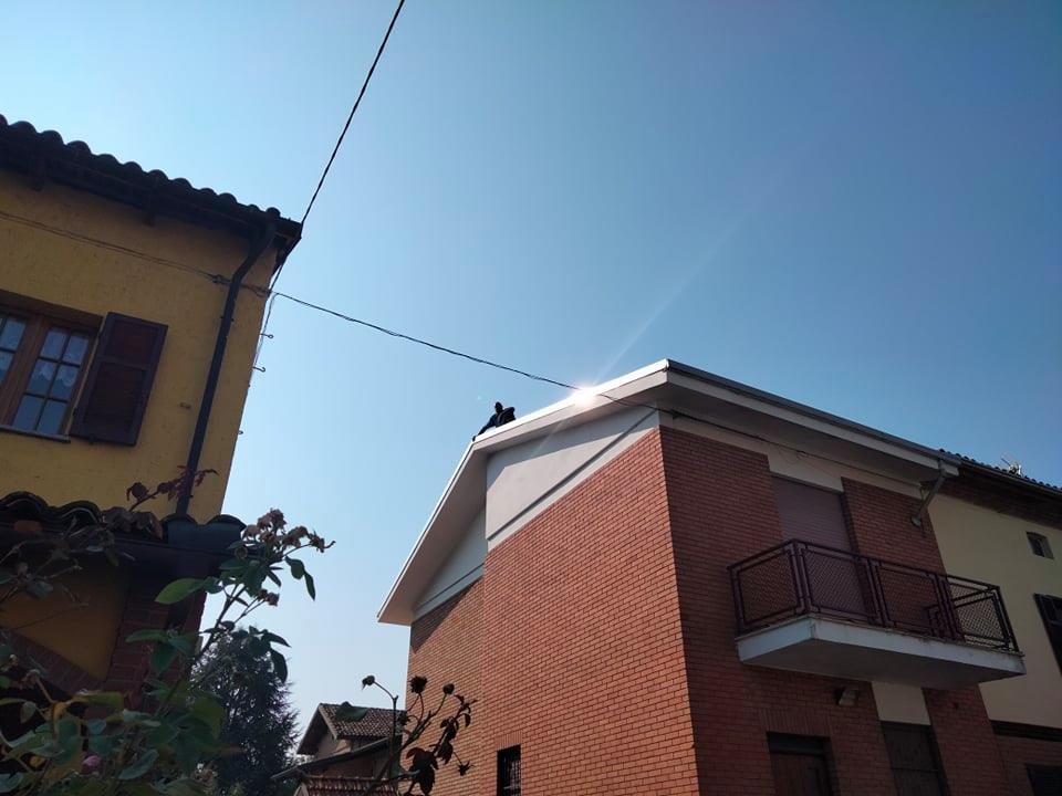 Sale sul tetto per protesta a causa di un pozzetto: il video da Villa del Foro