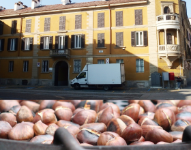 Castagnata di novembre a Pavia: tante caldarroste in Piazza Petrarca