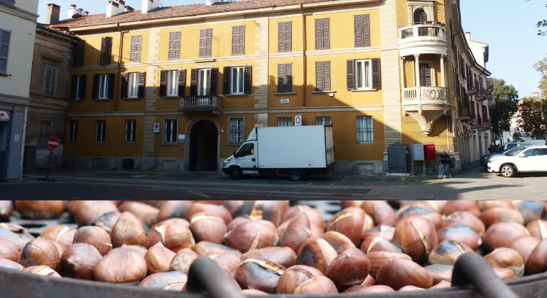 Castagnata di novembre a Pavia: tante caldarroste in Piazza Petrarca