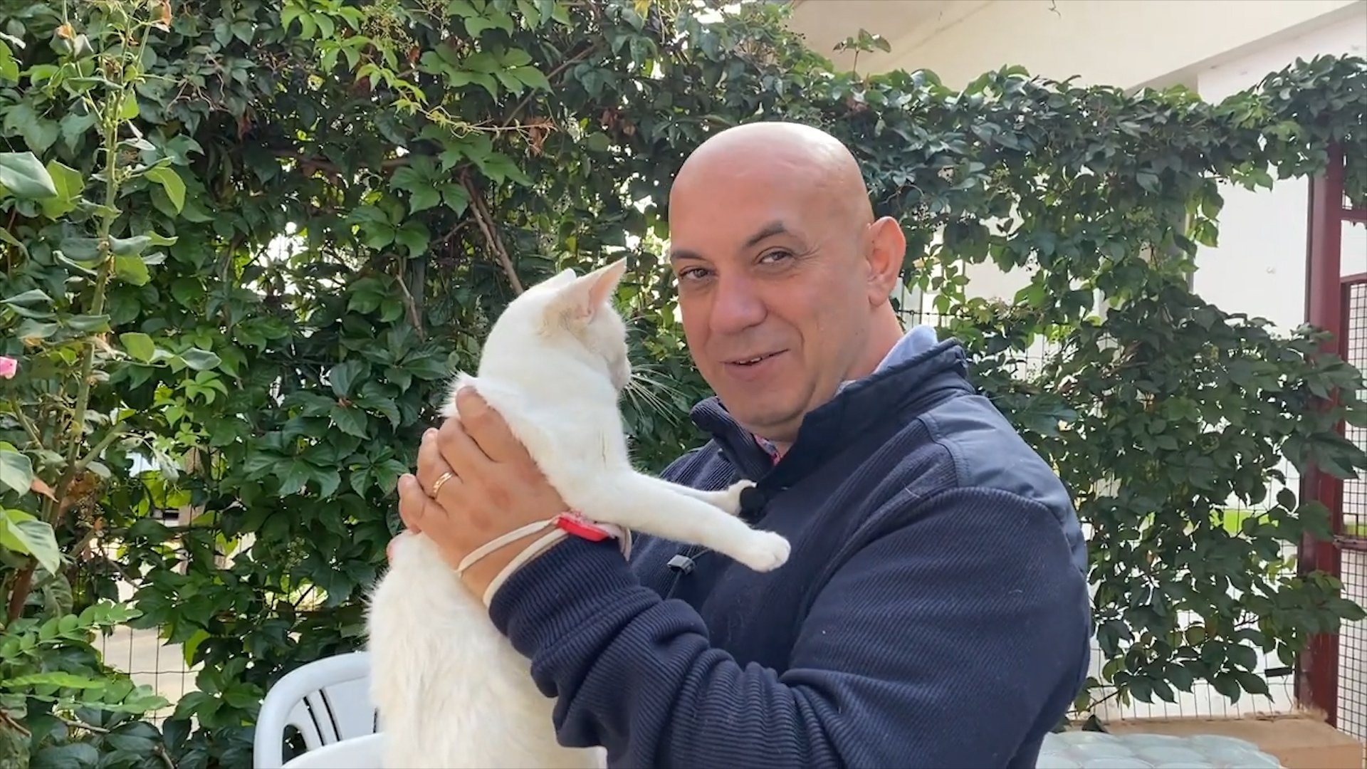 Appello del gattile di Alessandria: 50 gattini attendono una famiglia e servono coperte