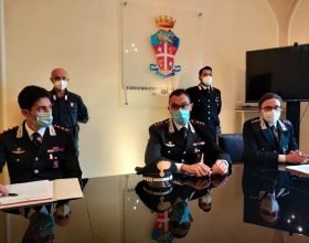Carabinieri e Forestale scoprono piantagione di marijuana a Brignano Frascata