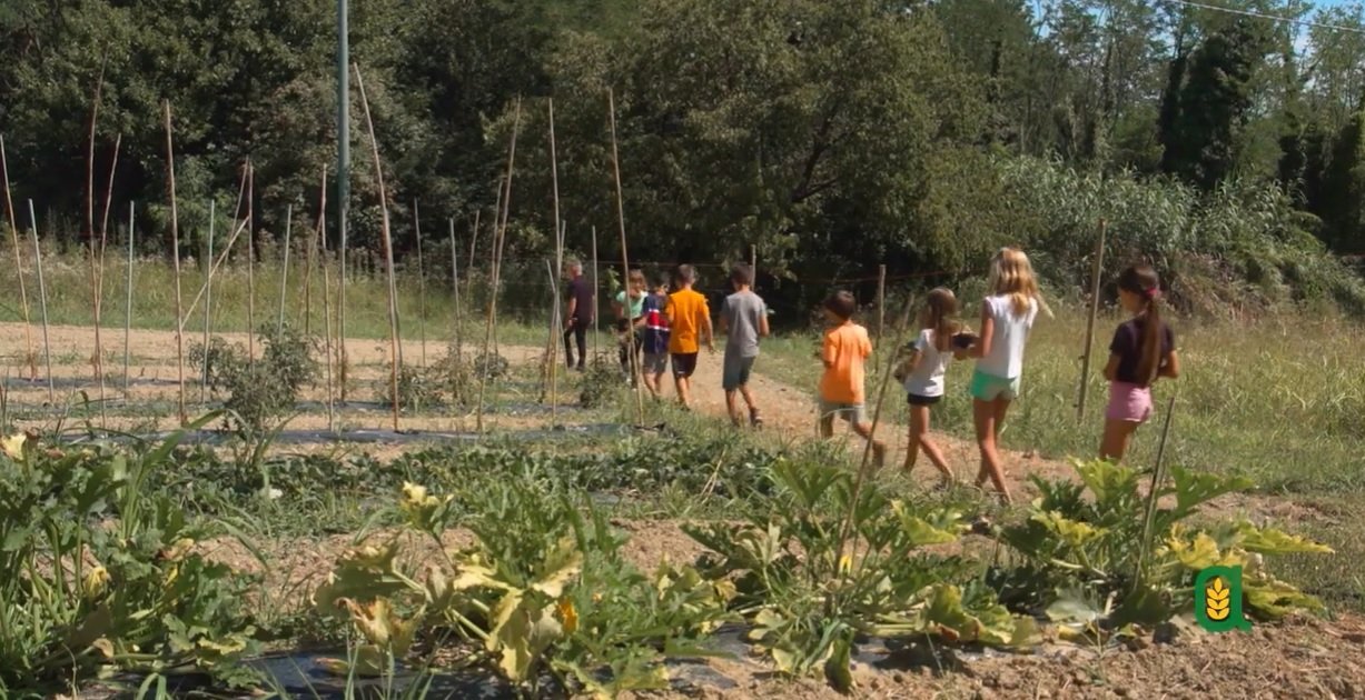 Agriturist Alessandria: 30 anni d’informazione agroalimentare per scuole e famiglie