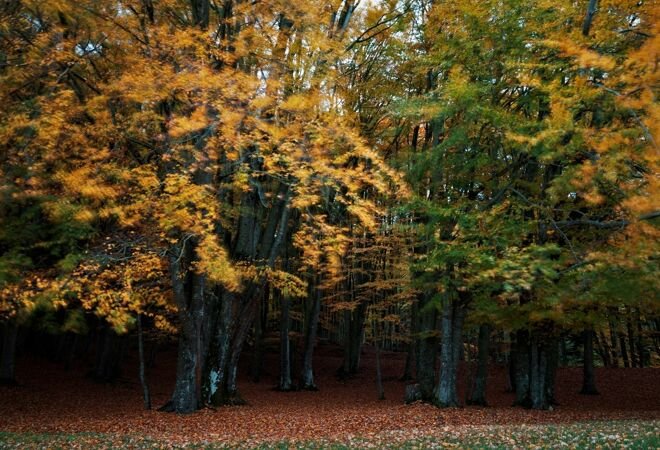Foliàge e sapori d’autunno: trekking e natura a Romagnese