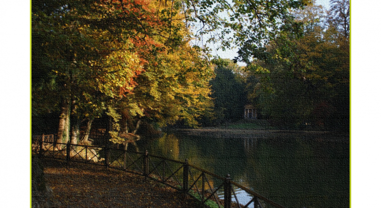 Villa Reale di Monza, un contest fotografico per immortalare l’autunno