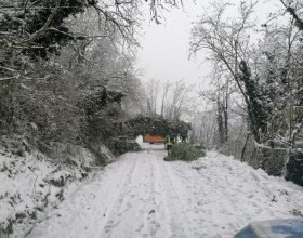 Ad Acqui Terme squadre sgombera neve in azione: interventi anche per piante cadute