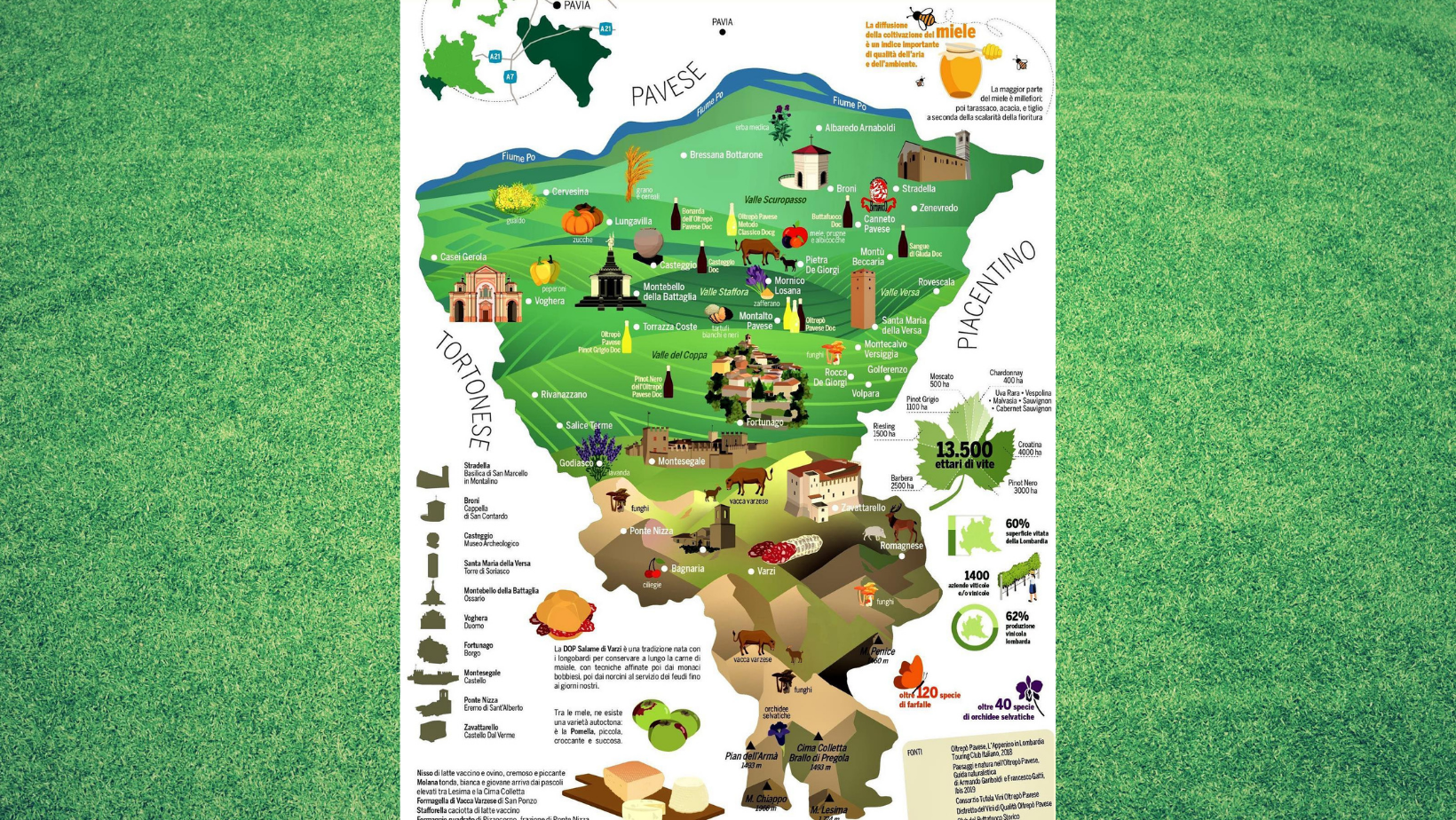 L’Oltrepò Pavese, crocevia di biodiversità tra quattro regioni