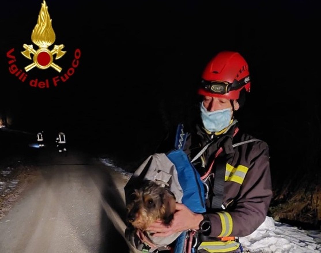 Cane precipita in un dirupo ad Alfiano Natta: salvato dai Vigili del Fuoco