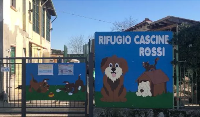 Una raccolta fondi per ristrutturare il Canile-Rifugio Cascine Rossi di Casale
