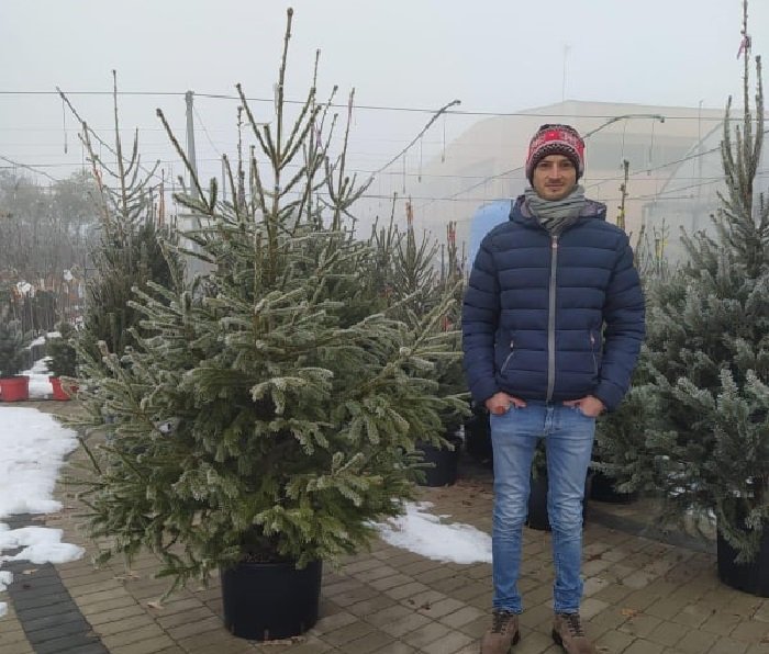 Fabrizio è il vincitore dell’albero di Natale messo in palio dal Vivaio di Castelletto per Gold Christmas
